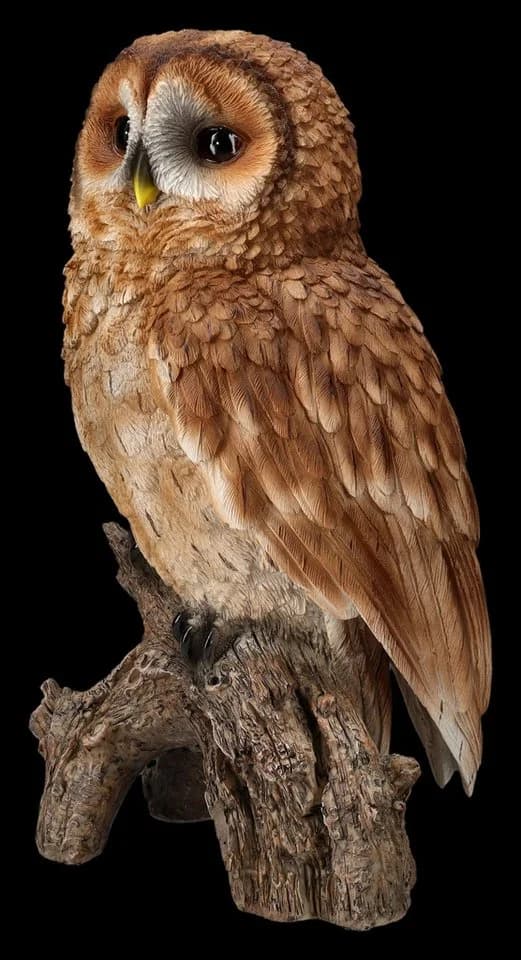 Gartenfigur Eule Großer Waldkauz Dekofigur Wetterfest