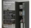 Bellamio Mehrzweckschrank Apol Anthrazitschwarz Aktenschrank 2 Türen 5 Fächer Bild 3