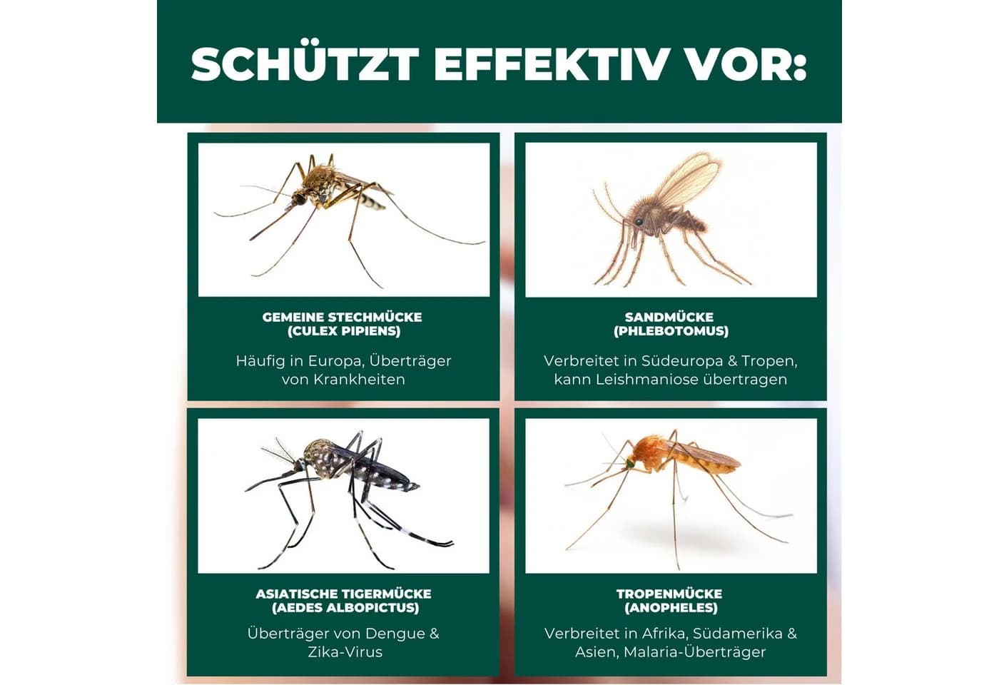 Silberkraft Betthimmel Insektenschutz 150x70x90 cm - Mückennetz - Bild 4
