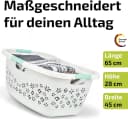 homesti Wäschekorb 50L Ergonomisch Weiß/Aquamarin Soft-Touch Bild 1
