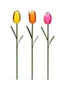 Seyila Home 3er Set Metall-Gartenstecker Tulpen Bunt Bild 2