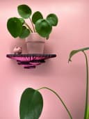 Roomberry Beerenpilz Wandregal Schwebendes Design Bild 1