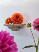 Roomberry Deko-Wandregal Beerenpilz Schwebend Beige Bild 3