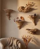 Roomberry Deko-Wandregal Pilz Wandregal Set 5-teilig Naturdesign Bild 2