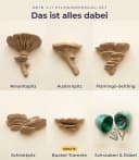 Roomberry Deko-Wandregal Pilz Wandregal Set 5-teilig Naturdesign Bild 5