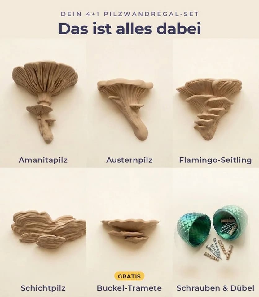 Roomberry Deko-Wandregal Pilz Wandregal Set 5-teilig Naturdesign - Bild 5