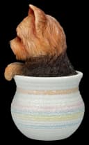 Figuren Shop GmbH Yorkshire Terrier Dekofigur im Blumentopf Bild 3