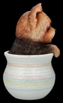 Figuren Shop GmbH Yorkshire Terrier Dekofigur im Blumentopf Bild 5