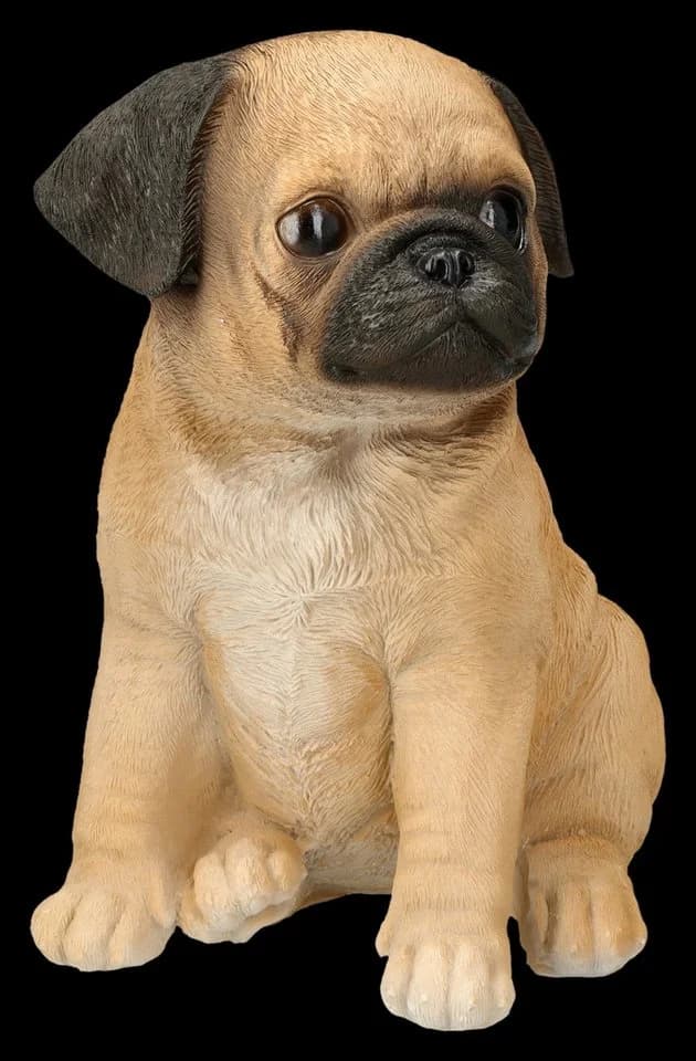 Figuren Shop GmbH Mops Figur Deko Sammlerfigur Hund Skulptur 17 cm