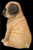 Figuren Shop GmbH Mops Figur Deko Sammlerfigur Hund Skulptur 17 cm Bild 4