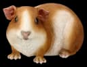 Figuren Shop GmbH Gartenfigur Meerschweinchen groß - Wetterfeste Dekofigur Bild 1