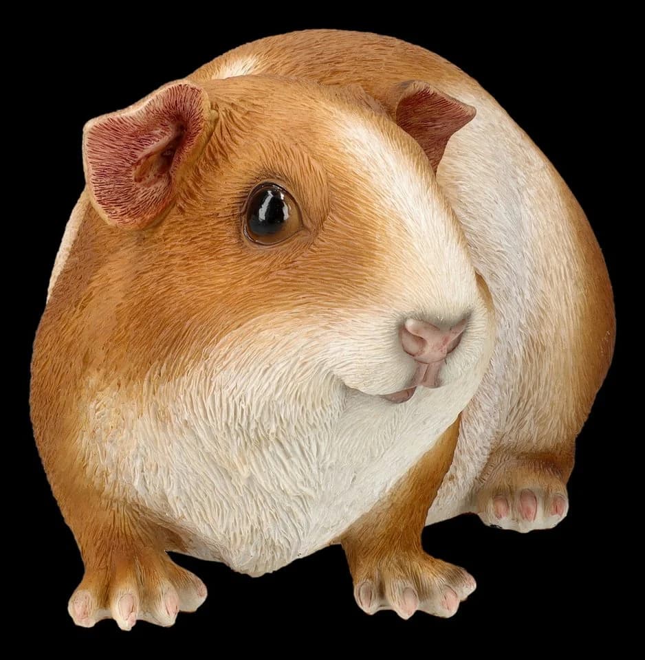 Figuren Shop GmbH Gartenfigur Meerschweinchen groß - Wetterfeste Dekofigur - Bild 4