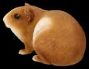 Figuren Shop GmbH Gartenfigur Meerschweinchen groß - Wetterfeste Dekofigur Bild 5