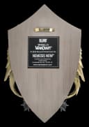 Figuren Shop GmbH Warcraft Wandrelief Allianz Wappen Löwenkopf Deko 30 cm Bild 5