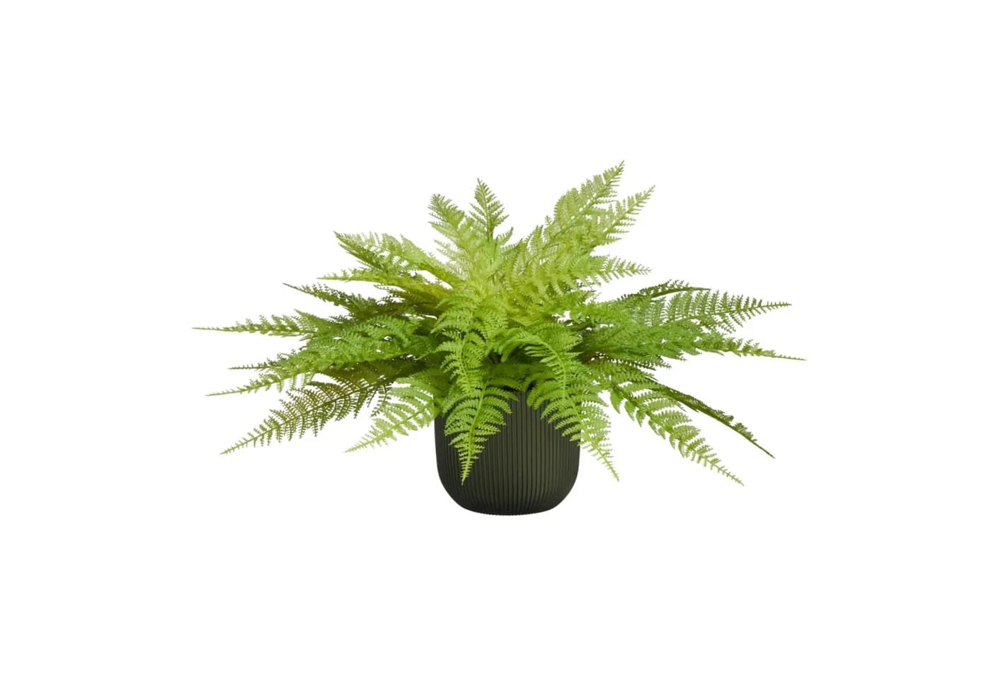 Künstlicher Frauenfarn Talos 55 cm aplanta - Bild 2