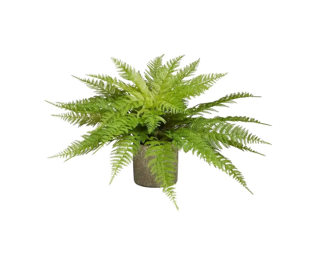 Künstlicher Frauenfarn Talos 55 cm aplanta - Bild 3