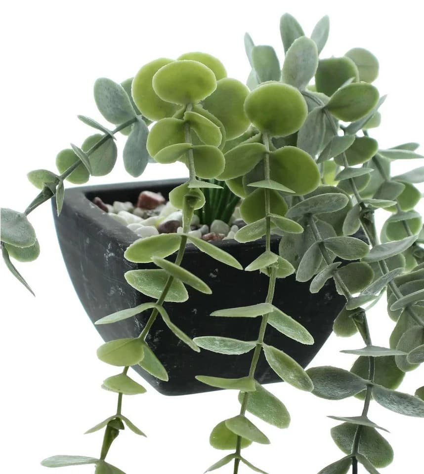 Dekoleidenschaft Kunstpflanze "Grün" 2er Set mit Topf - Bild 5