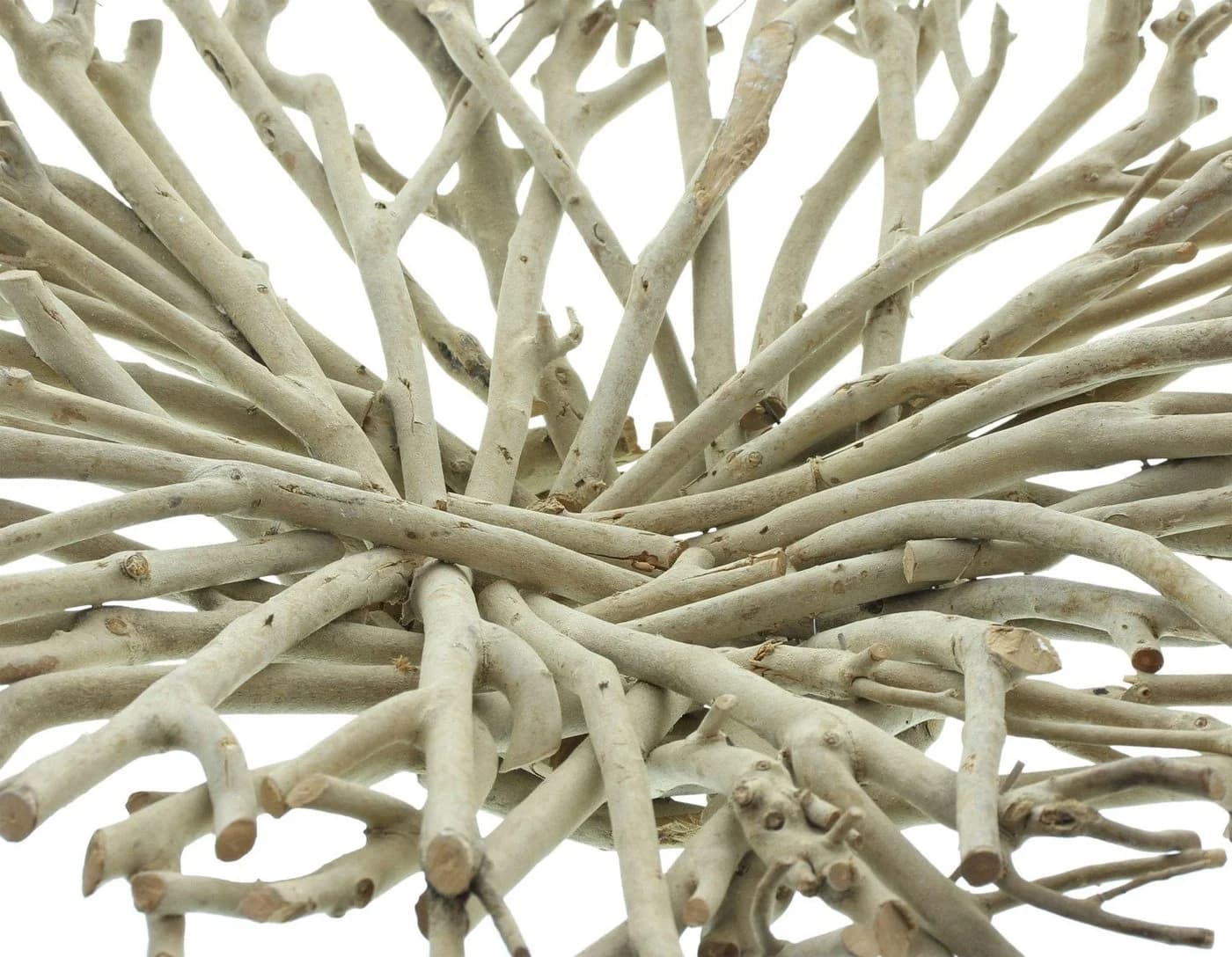 Dekoleidenschaft Dekoschale Verzweigt Teebaum-Holz Beige - Bild 5
