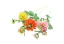 Dekoleidenschaft Kunstblume "Dahlie" 3er Set Bunt Bild 2