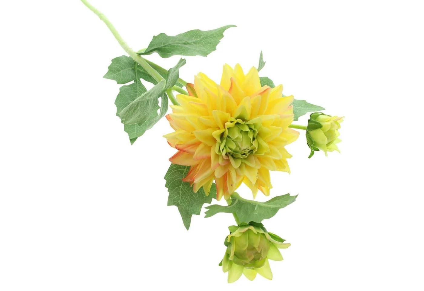 Dekoleidenschaft Kunstblume "Dahlie" 3er Set Bunt - Bild 3
