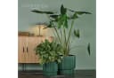 VidaAtHome.de Blumentopf Design-Pflanzgefäße-Set IVY 2er Set Bild 2