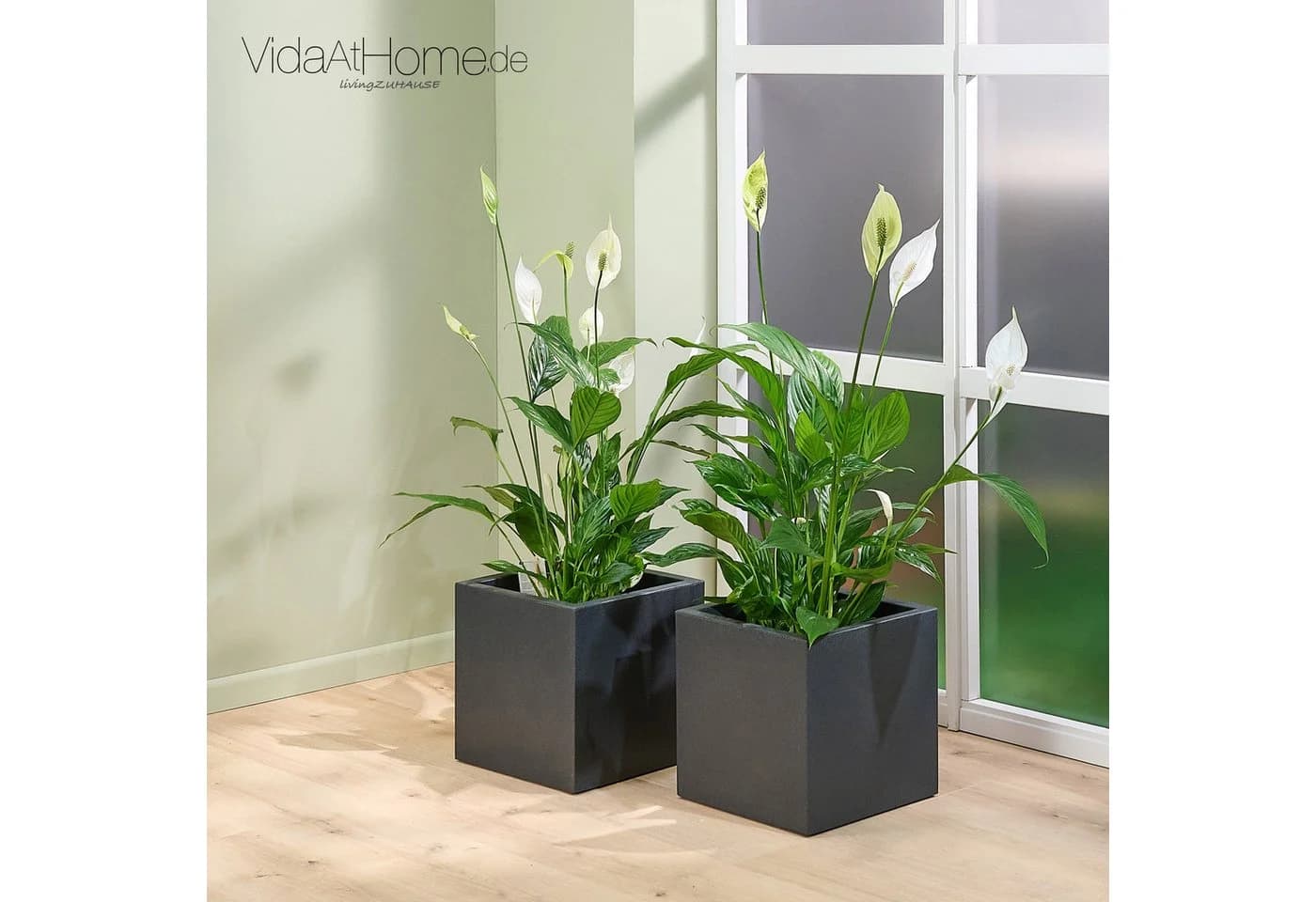 VidaAtHome.de Pflanzkübel QUBO 30 2er Set Anthrazit