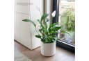 VidaAtHome.de Blumentopf BATOS mit Bewässerungseinsatz Weiß Bild 1