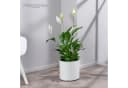 VidaAtHome.de Blumentopf BATOS mit Bewässerungseinsatz Weiß Bild 3