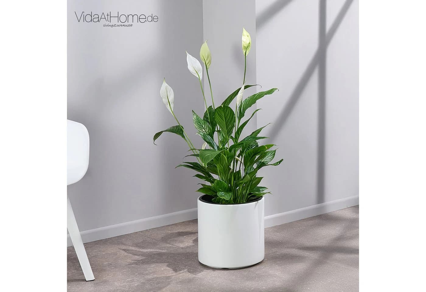 VidaAtHome.de Blumentopf BATOS mit Bewässerungseinsatz Weiß - Bild 3