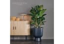 VidaAtHome.de Design-Pflanzgefäße-Set ALVY 3er Set mit Bewässerungseinsatz Bild 1