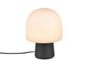 TRIO Leuchten LED Nachttischlampe Pilzförmig Dimmbar Warmweiß Bild 2
