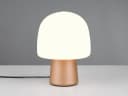 TRIO Leuchten LED Nachttischlampe Pilzförmig Warmweiß Bild 3