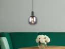 TRIO Leuchten LED Pendelleuchte, Dimmfunktion, LED wechselbar, warmweiß, Ø20cm Bild 5