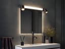 TRIO Leuchten LED Spiegelleuchte Schwarz mit Memoryfunktion Bild 1