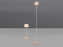 Reality Leuchten LED Außen-Steh- & Tischlampe Set Beige Dimmbar Bild 3