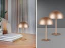 Reality Leuchten USB-Tischleuchte 2er Set Kabellos Akku Pilzlampen Braun Dimmbar Bild 1