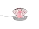 Reality Leuchten USB-Tischleuchte Muschel-Lampe RGB & Glitzerkugel Bild 2