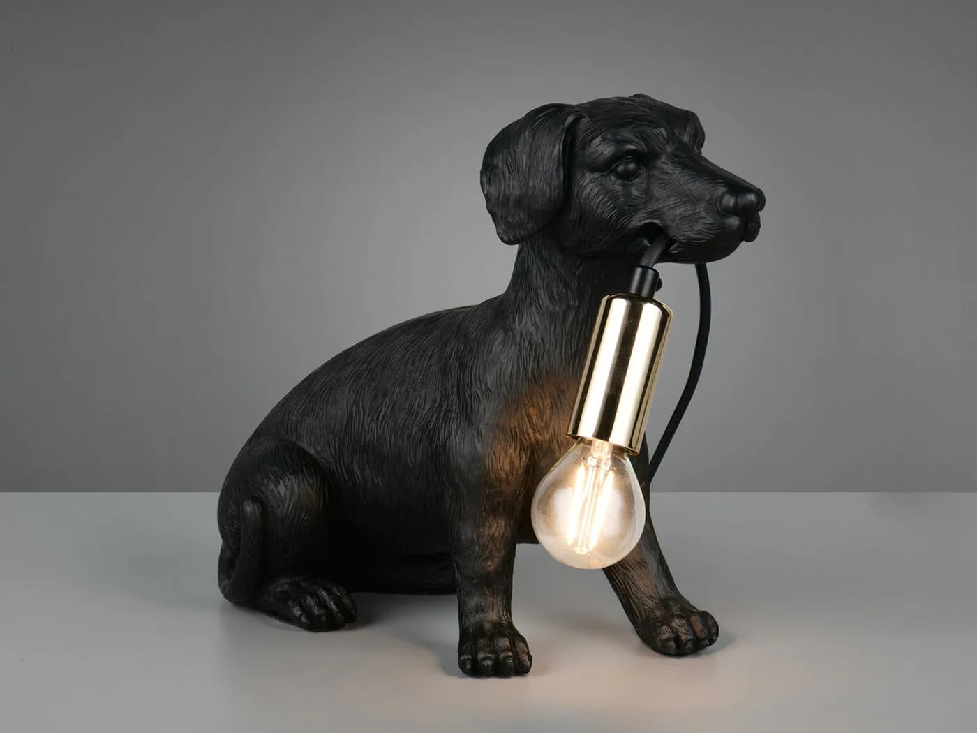 Reality Leuchten LED Nachttischlampe Dimmfunktion Hundelampe Warmweiß - Bild 3