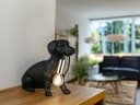Reality Leuchten LED Nachttischlampe Dimmfunktion Hundelampe Warmweiß Bild 5