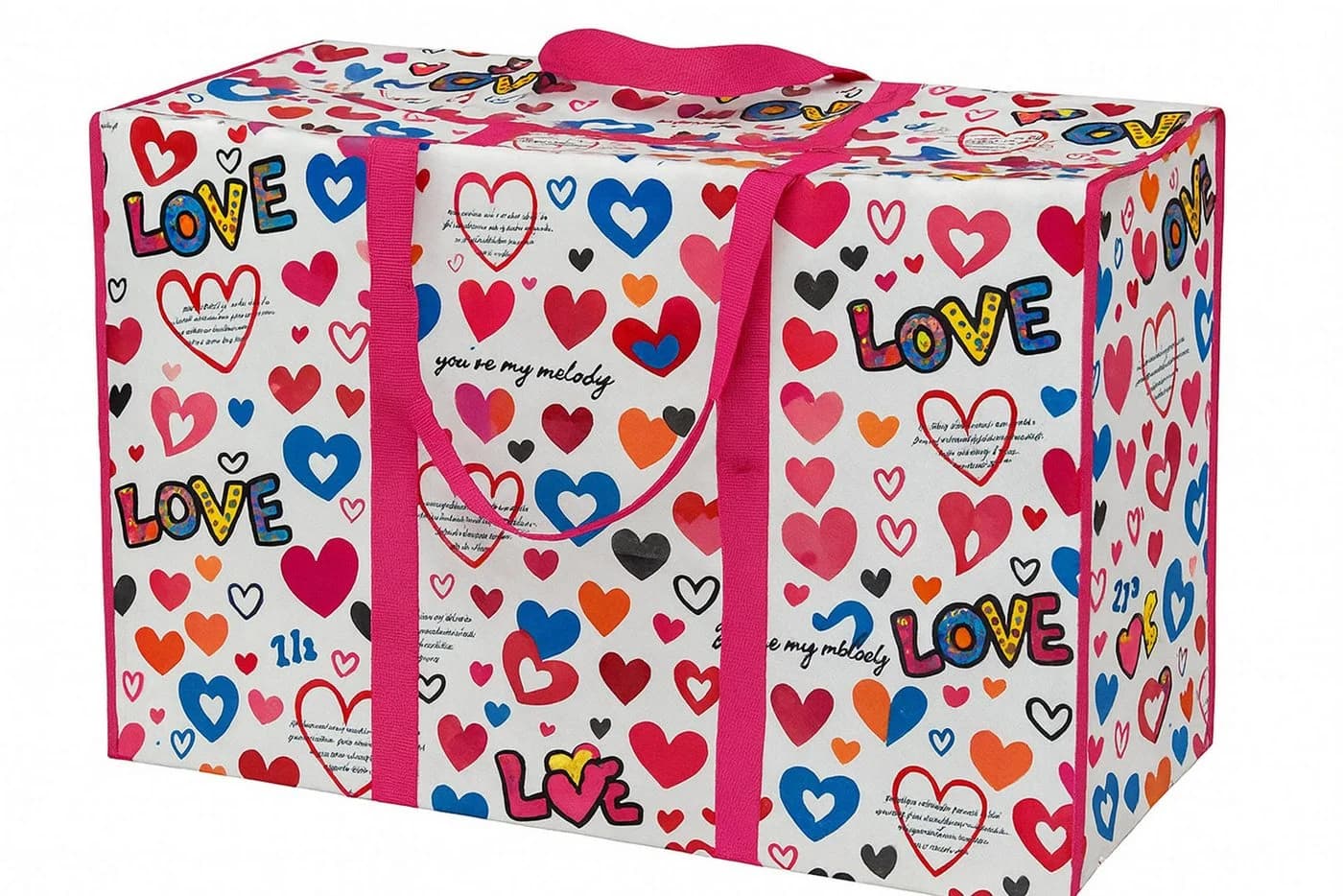 Ebaxx Aufbewahrungstasche XL 80x55x25 cm Kunststoff