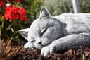 Stone and Style Gartenfigur Große Katze Schlafend Stein Bild 4