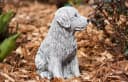 Stone and Style Gartenfigur Hund Retriever Frostfeste Steinfigur Bild 4