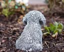 Stone and Style Gartenfigur Malteser Welpe Frostfest Steinfigur Grau/Weiß Bild 5