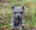 Stone and Style Gartenfigur Yorkshire Terrier Grau Frostfest Bild 1