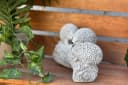 Stone and Style Gartenfigur Frostfeste Steinfigur 3 Igel auf Baumstamm Grau Bild 1