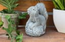 Stone and Style Gartenfigur Eichhörnchen mit Tannenzapfen Bild 3