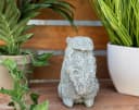 Stone and Style Gartenfigur Eichhörnchen mit Tannenzapfen Bild 4