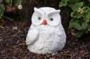 Stone and Style Gartenfigur Frostfeste Steinfigur Eule Hedwig Grau Bild 1