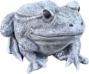 Stone and Style Gartenfigur Frosch Frostfest Grau Stein Bild 2