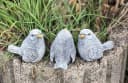Stone and Style Gartenfigur 3er-Set Vogel klein Grau Bild 3